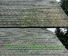 Morristown Slate Roof Cleaning