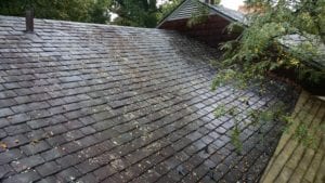  slate roof cleaning softwash ranger