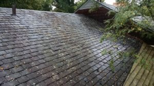 slate roof cleaning softwash ranger