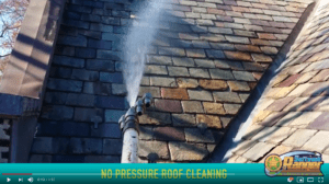 Soft Wash Roof Cleaning Clifton NJ